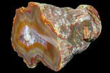 Beautiful Condor Agate From Argentina - Cut/Polished Face #79498-2